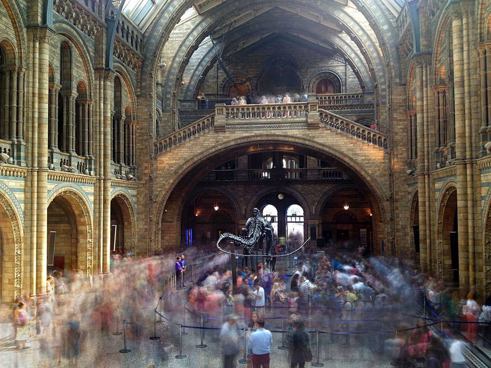 Speed dating London Naturhistorisk Museum